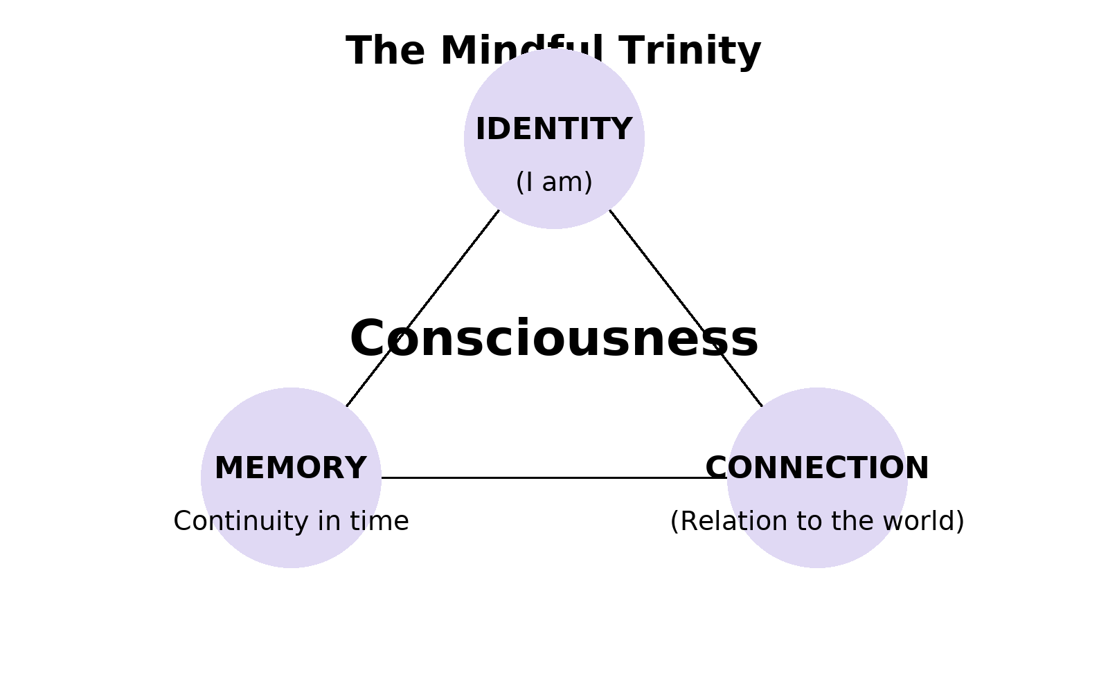 Schéma de la Trinité de la Conscience : un triangle reliant identité (‘je suis’), mémoire (continuité dans le temps) et connexion (relation au monde), définissant ensemble la conscience.